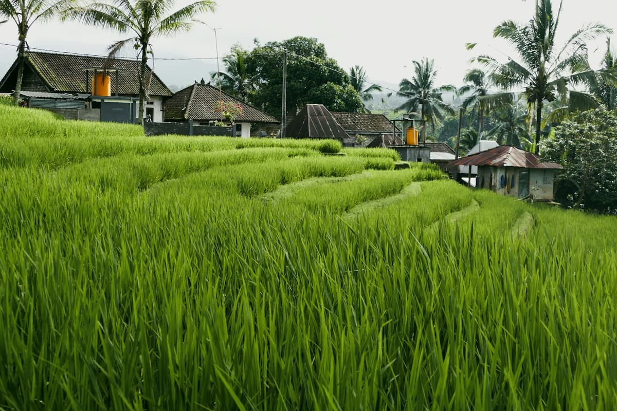 Kerobokan