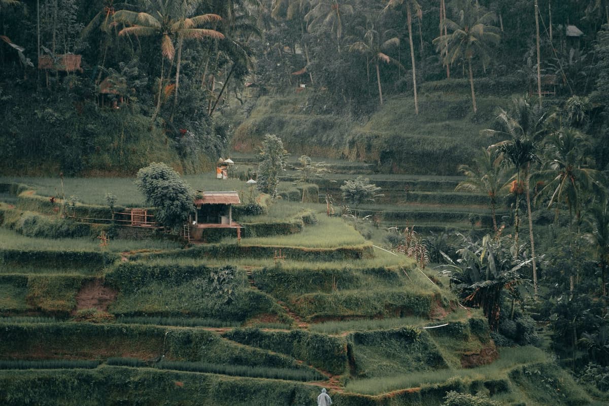 Ubud